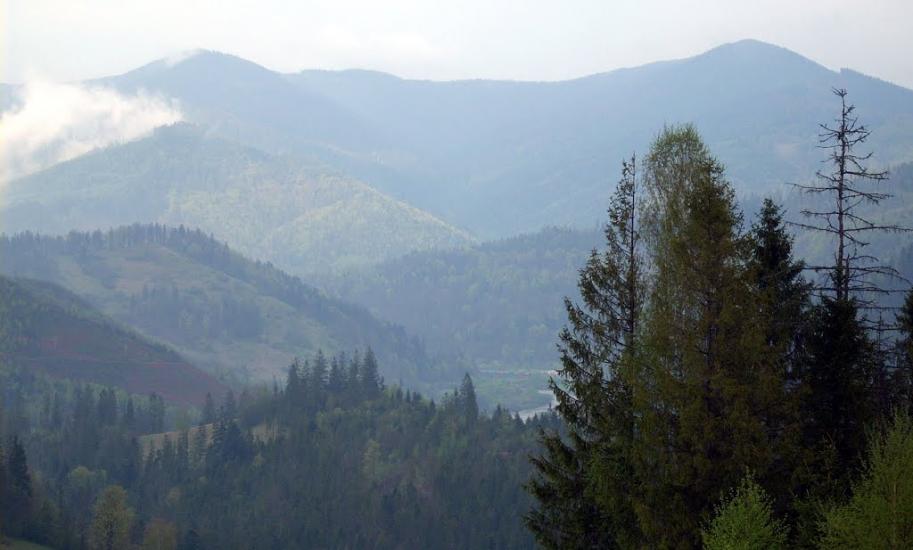Нижня Рожанка з panoramio.com - Нижняя Рожанка