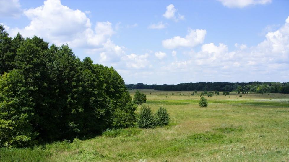 Пашенівка з panoramio.com - Пашеновка