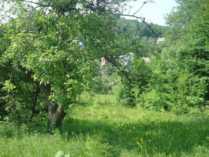 Давидківці з panoramio.com - Давидківці