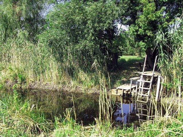 Кримка з panoramio.com - Кримка