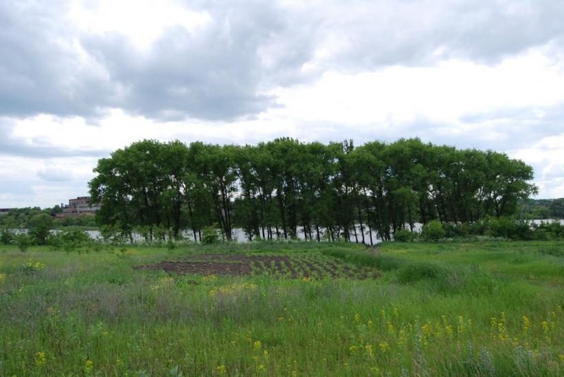 Мала Виска з panoramio.com - Малая Виска