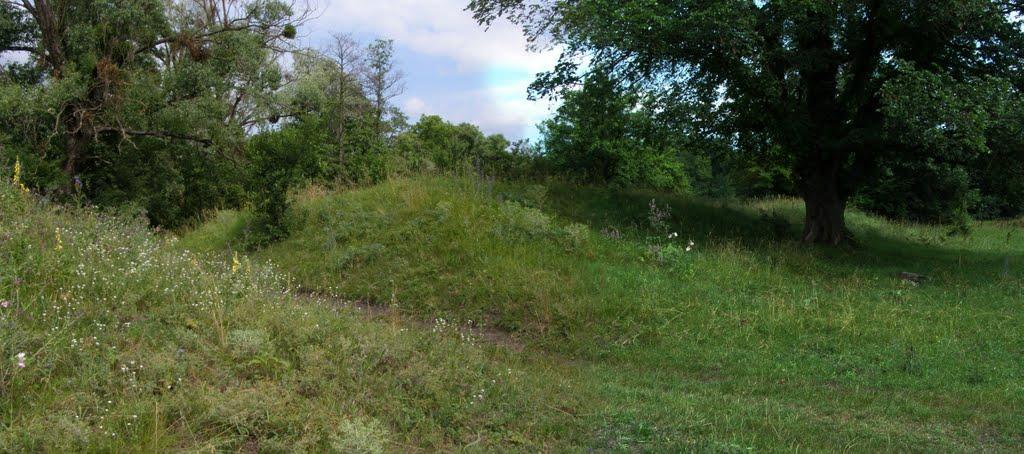 Пугачівка з panoramio.com - Пугачівка