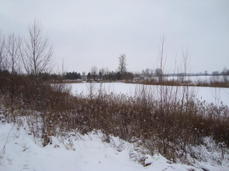 Буців з panoramio.com - Буцов