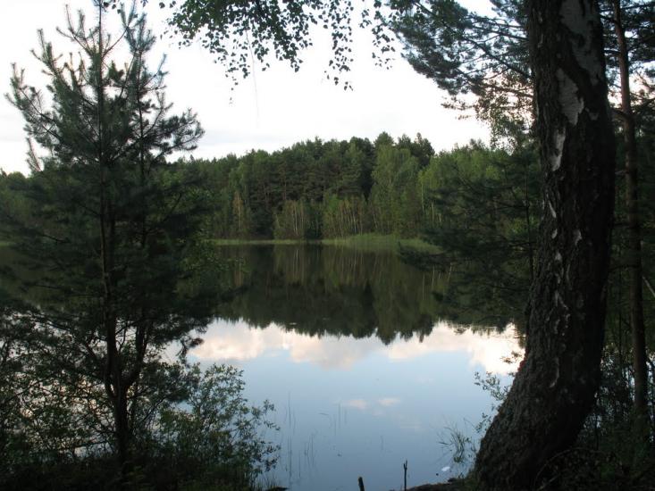 Піски-Річицькі з panoramio.com - Піски-Річицькі