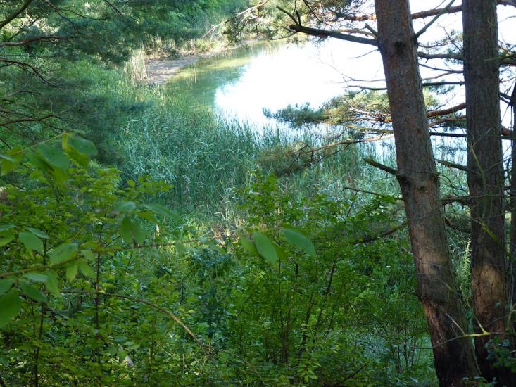 Медвин з panoramio.com - Медвин