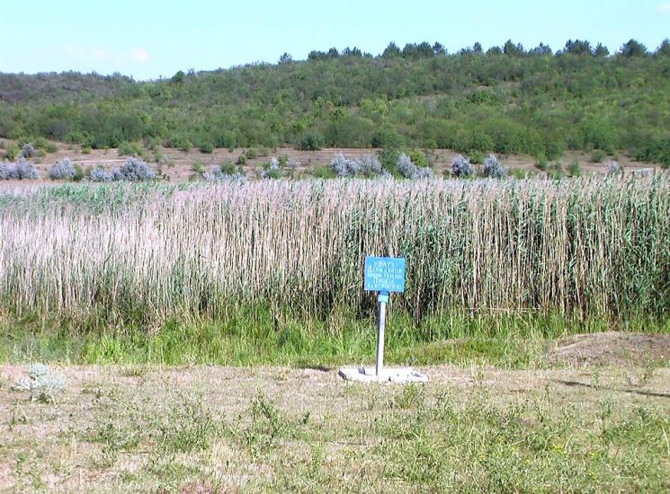 Дубове з panoramio.com - Дубовое