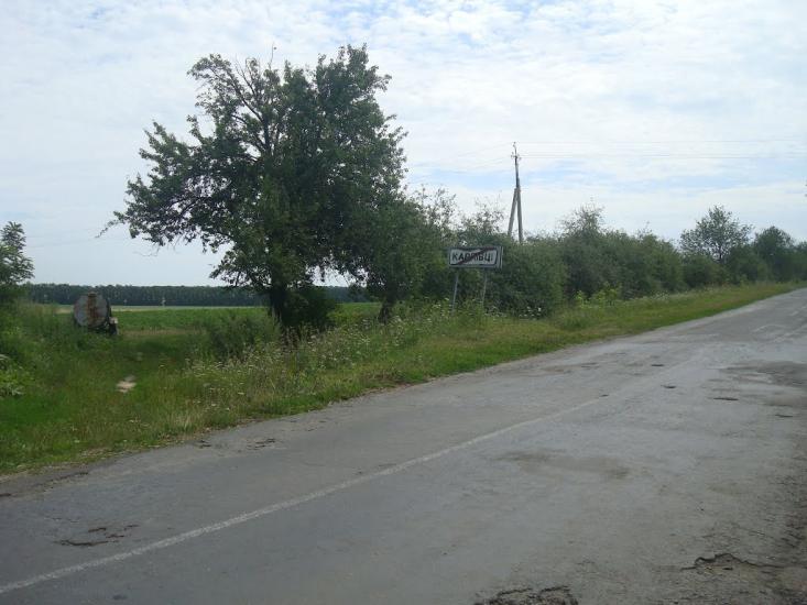 Ружичанка з panoramio.com - Ruzhychanka
