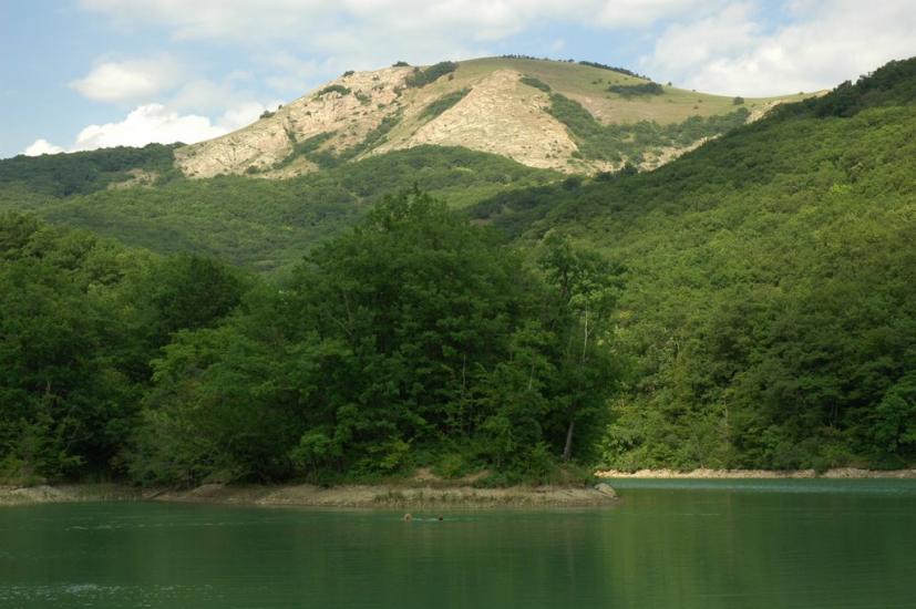 Ворон з panoramio.com - Ворон
