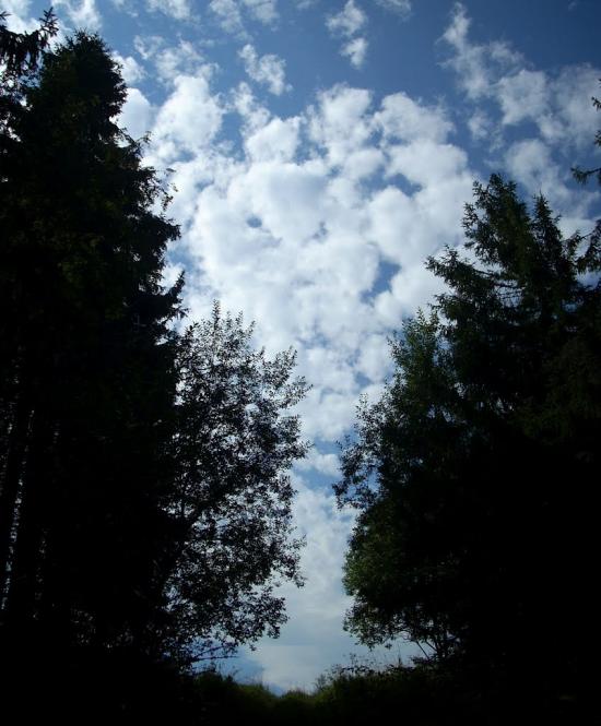 Сухий Потік з panoramio.com - Сухой Поток