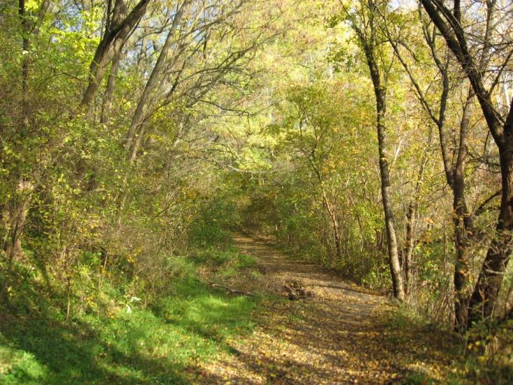 Приморське з panoramio.com - Приморское