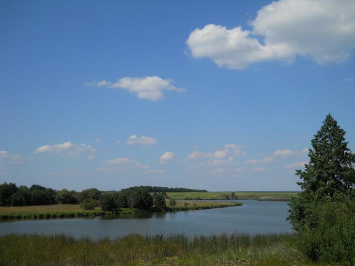 Кошляки з panoramio.com - Кошляки