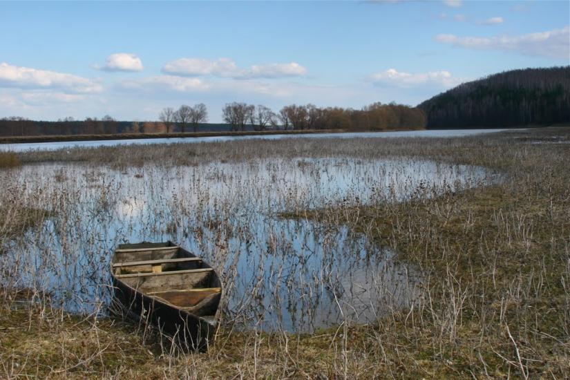 Радичів з panoramio.com - Радичев