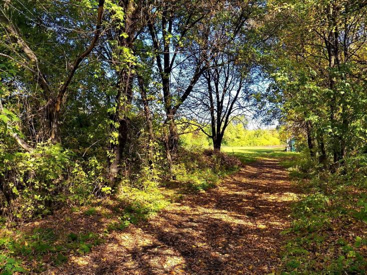 Кринична з panoramio.com - Криничная