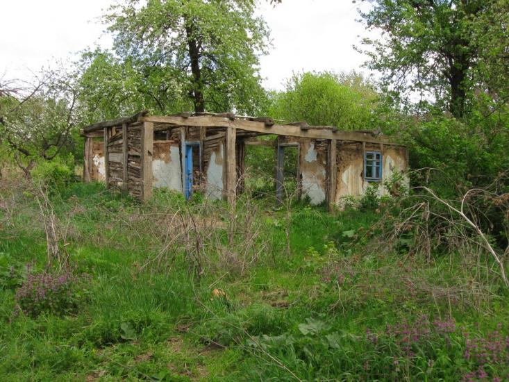 Степашки з panoramio.com - Степашки