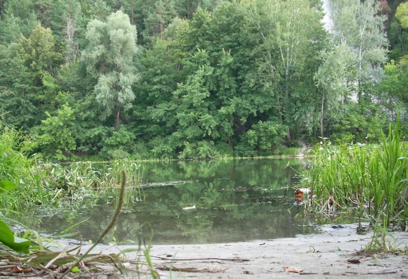 Богородичне з panoramio.com - Богородичное