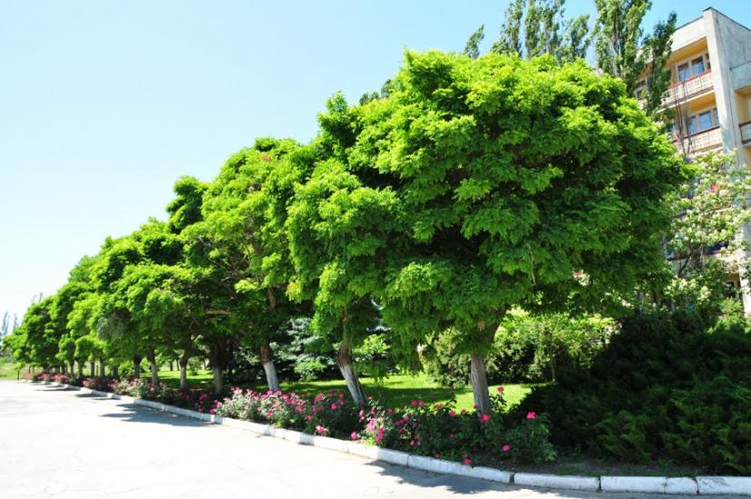 Сергіївка з panoramio.com - Сергіївка