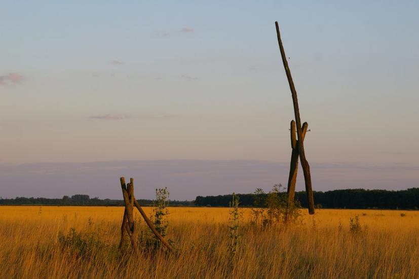 Галабор з panoramio.com - Galabor