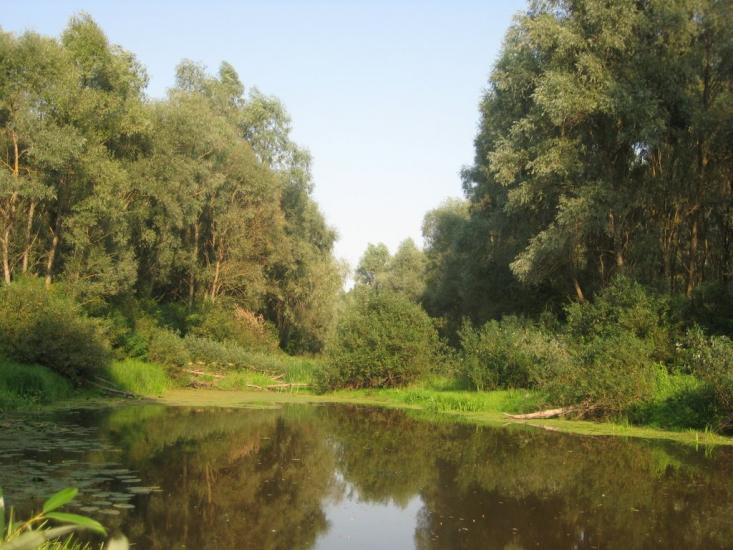 Жукин з panoramio.com - Zhukyn