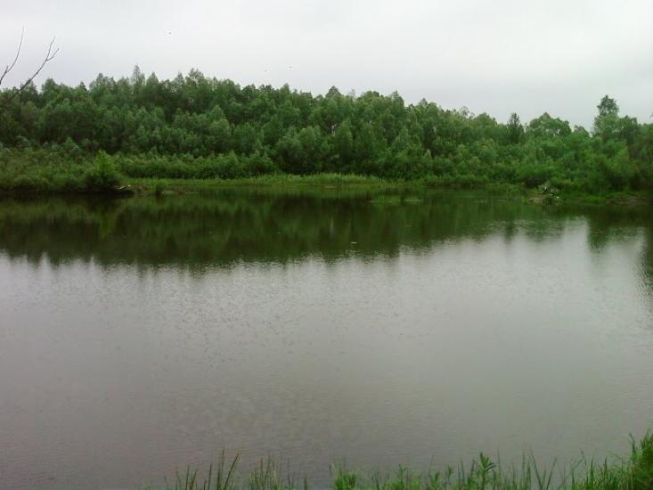 Іванків з panoramio.com - Иванков