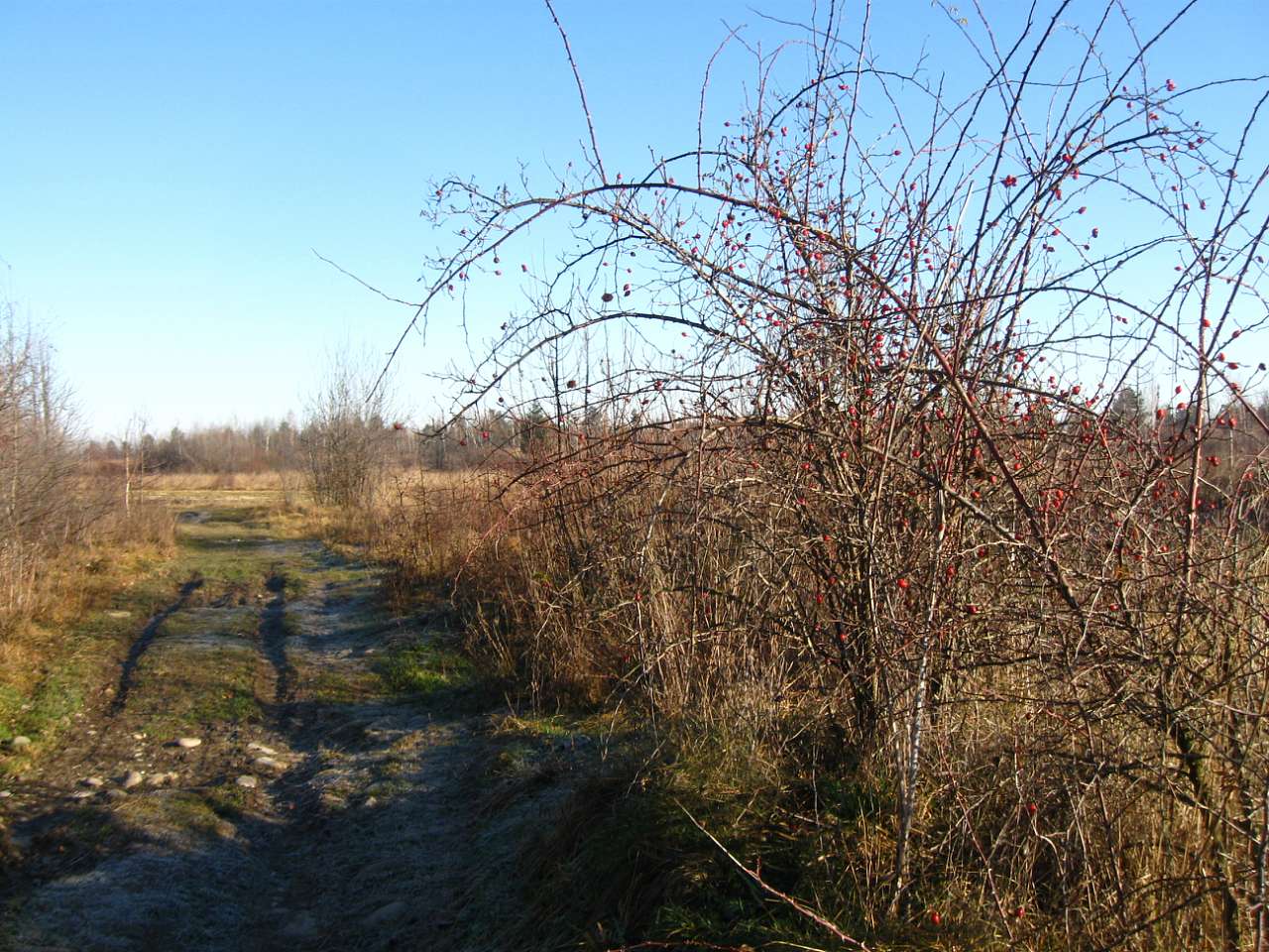 РОПЛЄНКЕ - Небылов