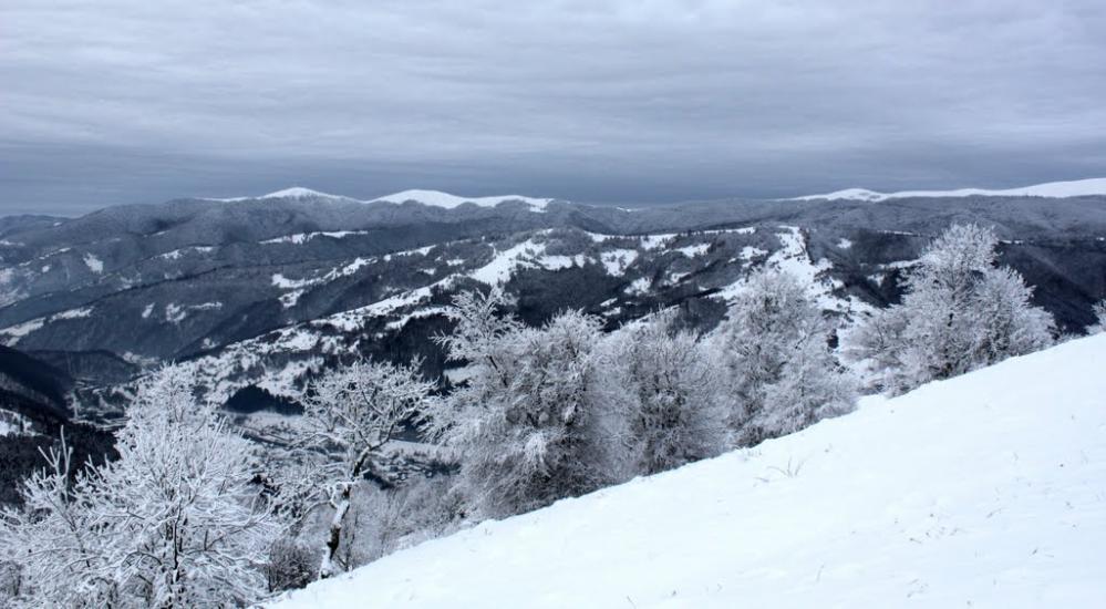 Кваси з panoramio.com - Квасы