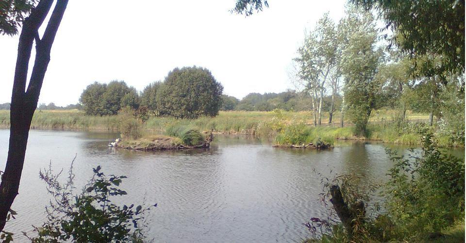Розаліївка з panoramio.com - Розаліївка