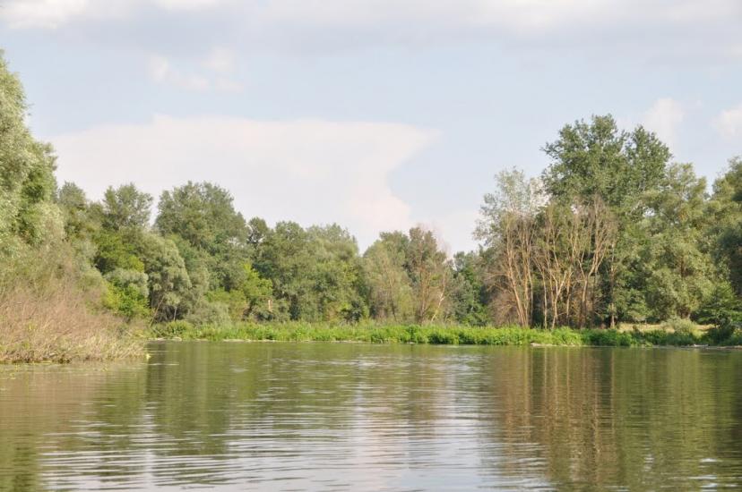 Баранівка з panoramio.com - Барановка