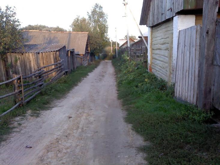 Верба з panoramio.com - Верба