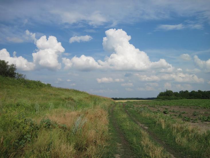 Пашенівка з panoramio.com - Пашеновка