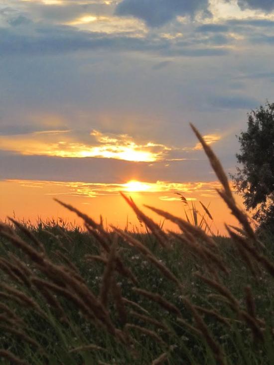 Степанівка Перша з panoramio.com - Степанівка Перша