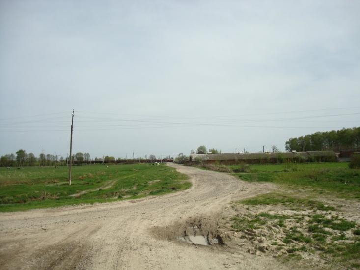 Голоби з panoramio.com - Голоби