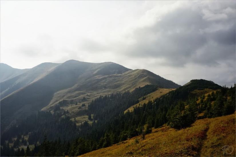 Береги з panoramio.com - Береги