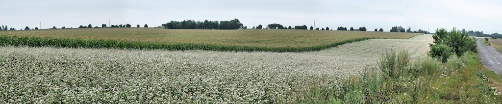 Городок з panoramio.com - Городок