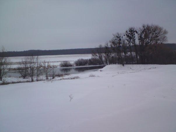 Городище-Косівське з panoramio.com - Городище-Косівське