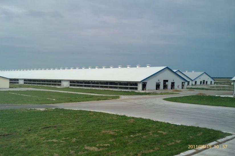 Великий Крупіль з panoramio.com - Великий Крупіль