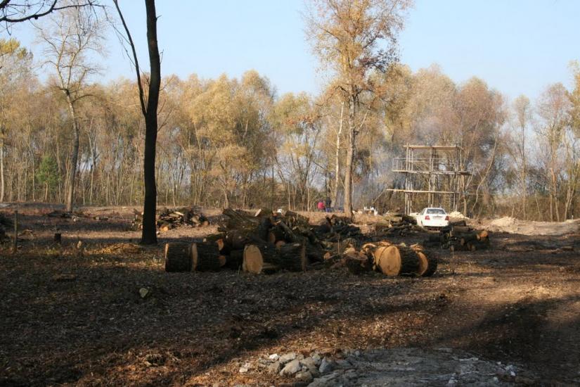 Осещина з panoramio.com - Осещина