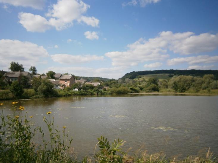 Розділ з panoramio.com - Роздол