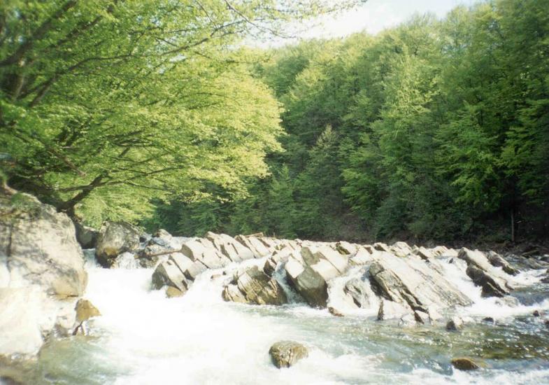 Забрідь з panoramio.com - Zabrid