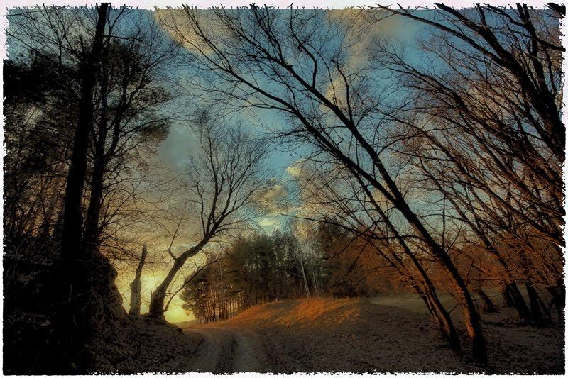 Велика Чернеччина з panoramio.com - Велика Чернеччина