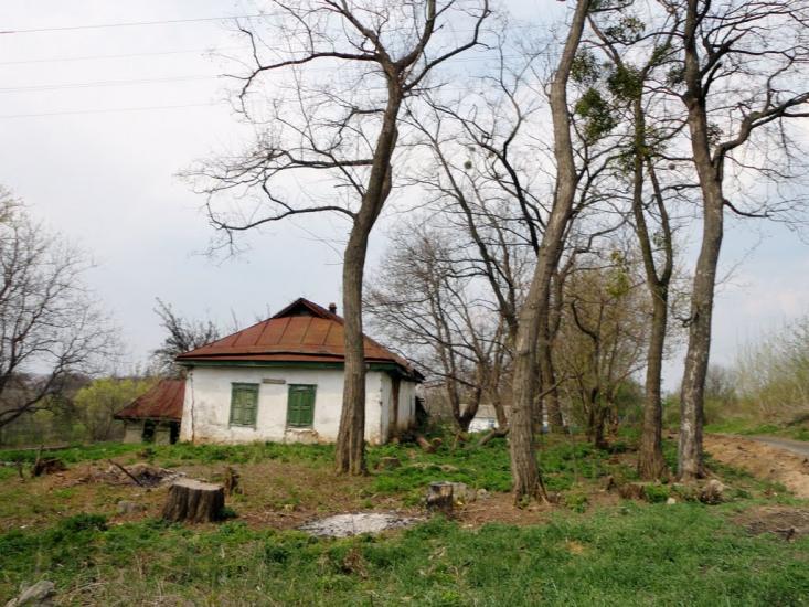 Нерубайка з panoramio.com - Нерубайка