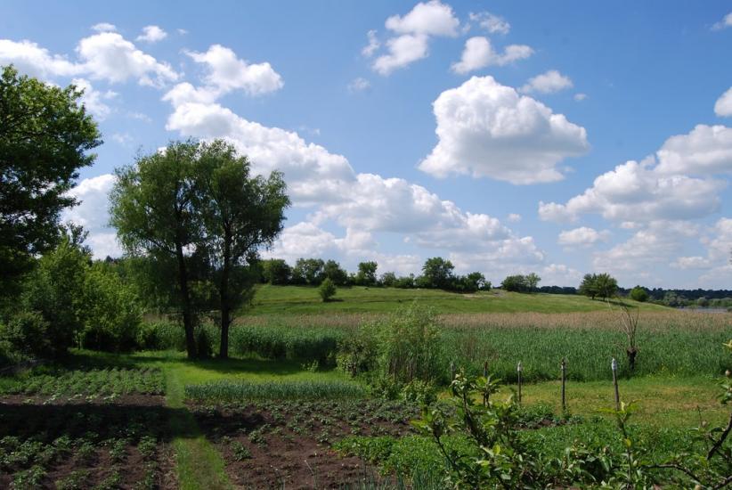 Мала Виска з panoramio.com - Малая Виска