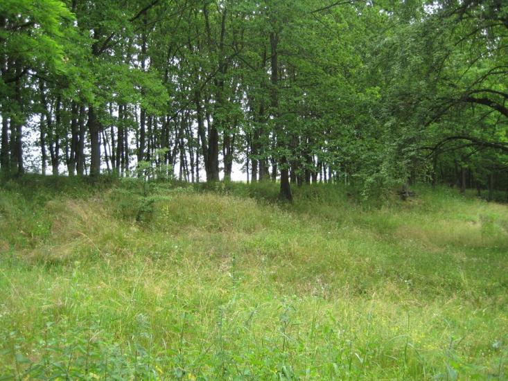 Старосілля з panoramio.com - Старосілля