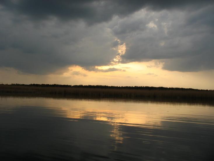 Ровжі з panoramio.com - Ровжи