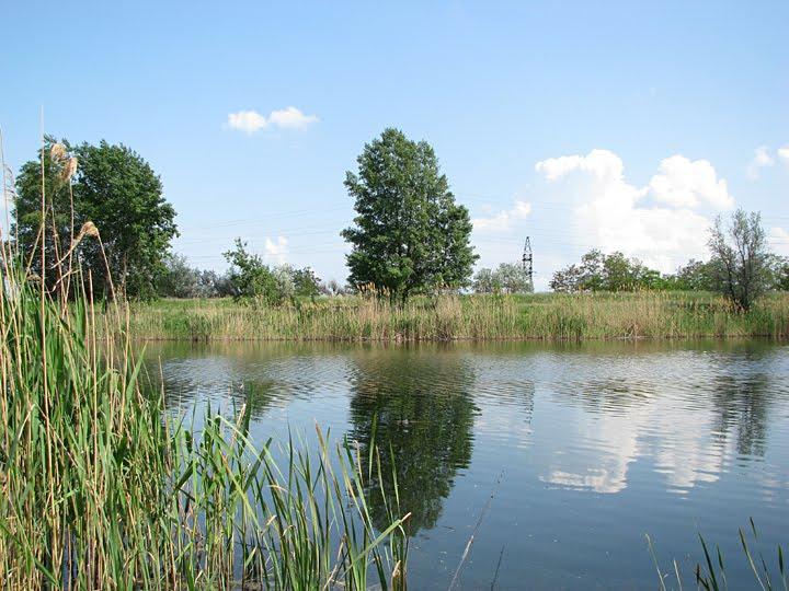 Гупалівка з panoramio.com - Гупаловка