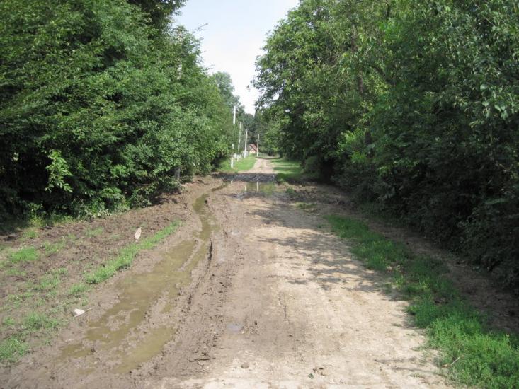 Галузинці з panoramio.com - Galuzyntsi