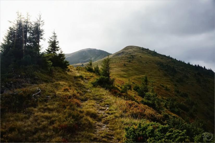 Береги з panoramio.com - Береги