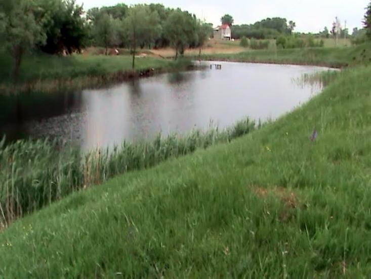 Войкове з panoramio.com - Войково