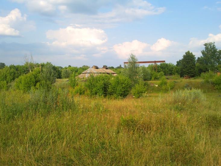 Іволжанське з panoramio.com - Иволжанское