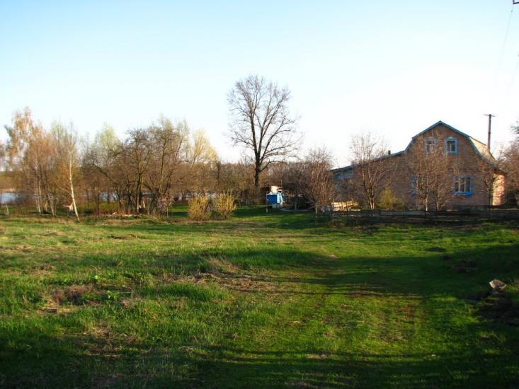 Розаліївка з panoramio.com - Розаліївка