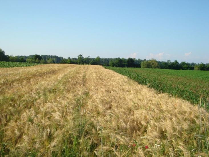 Соловка з panoramio.com - Solovka